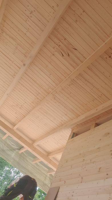 Meseriași profesioniști