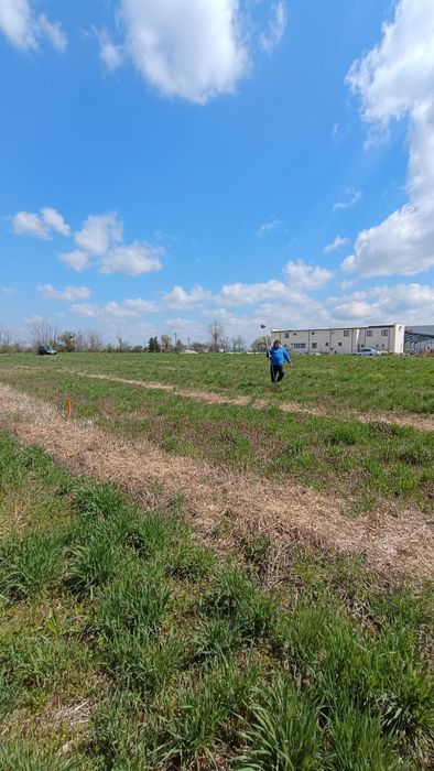 Teren Vidra Berceni  Ilfov