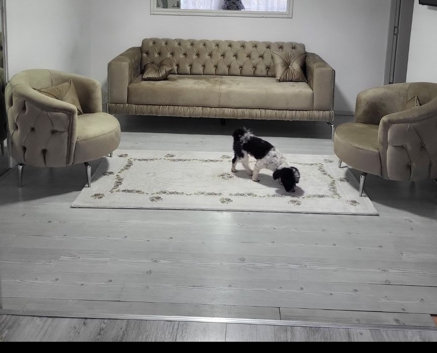 Canapea si fotolii.