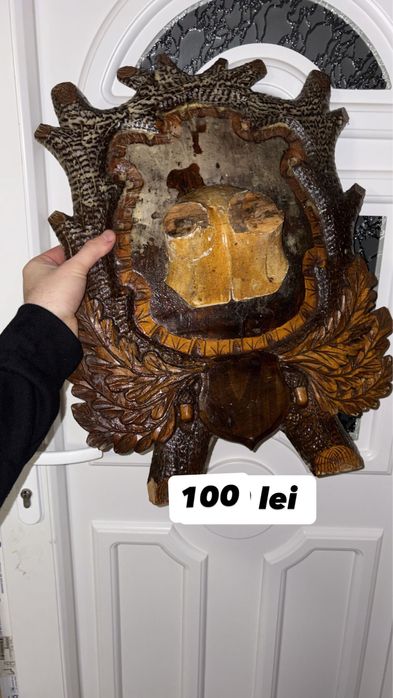 Coarne trofee Cerb țap muflon berbec caprioare panoplie mostenire buni