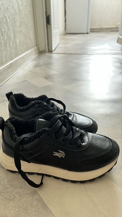 Крассовка чёрный