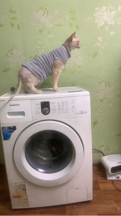 Стиральная машинка Samsung