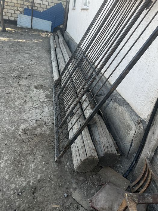 Агаш кругляк страпила половой агаш