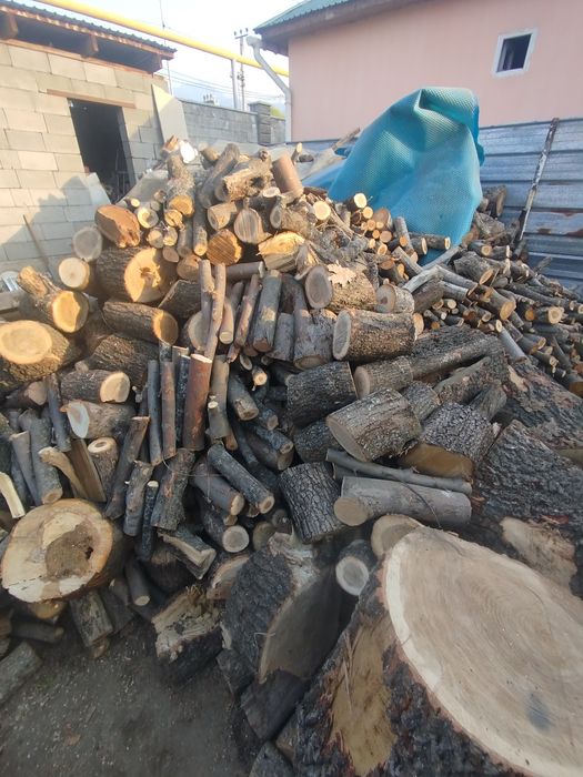 Продам дрова Яблоня