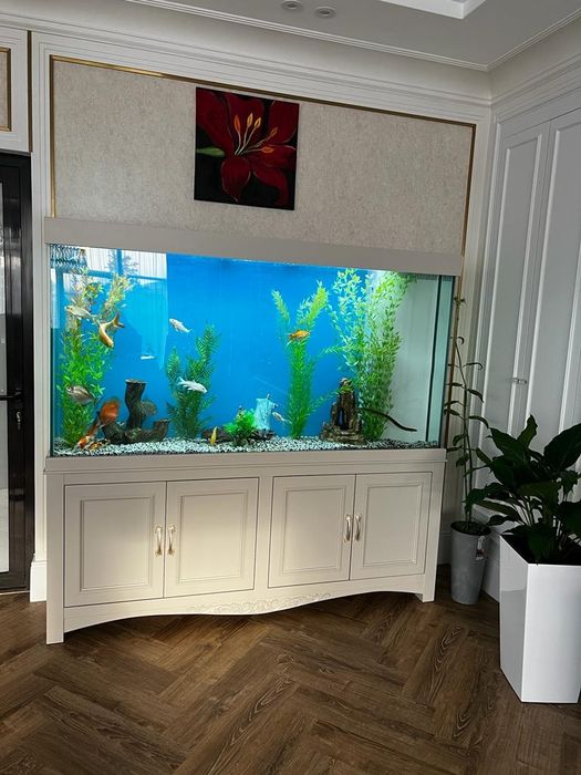 Продажа аквариумов