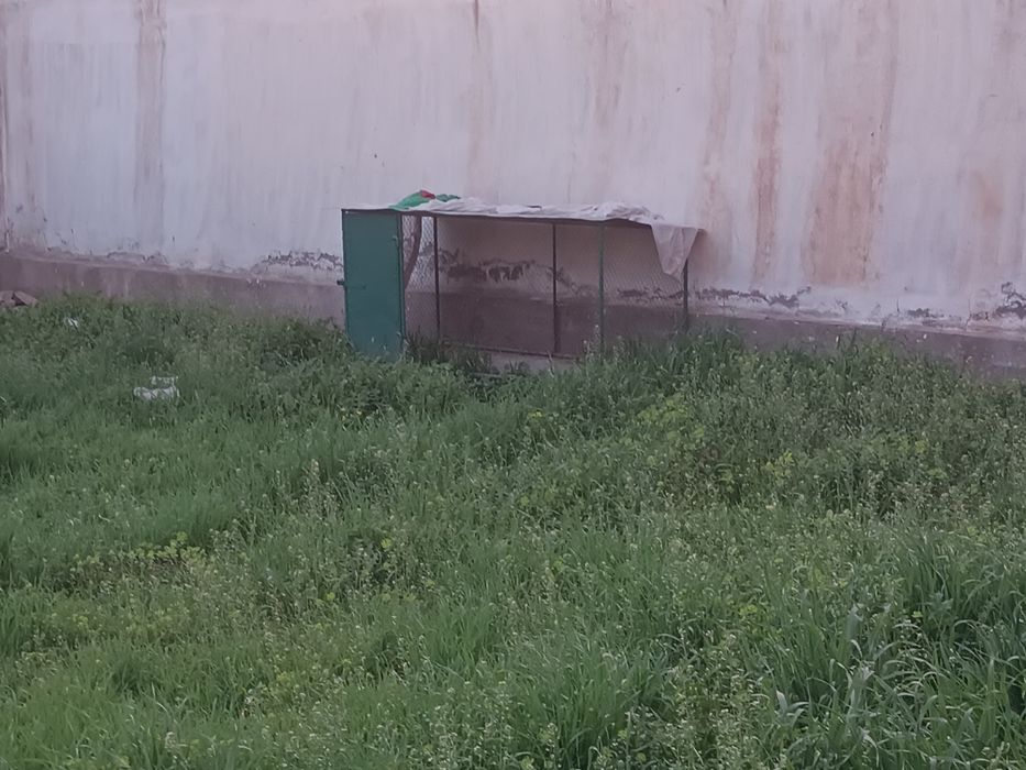 Товук катак сотилади холати янги ишлатилмаган