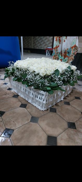 S 150 000.Shikarnie sveti jevoy priemlivie tseni . vozmojen dostavka