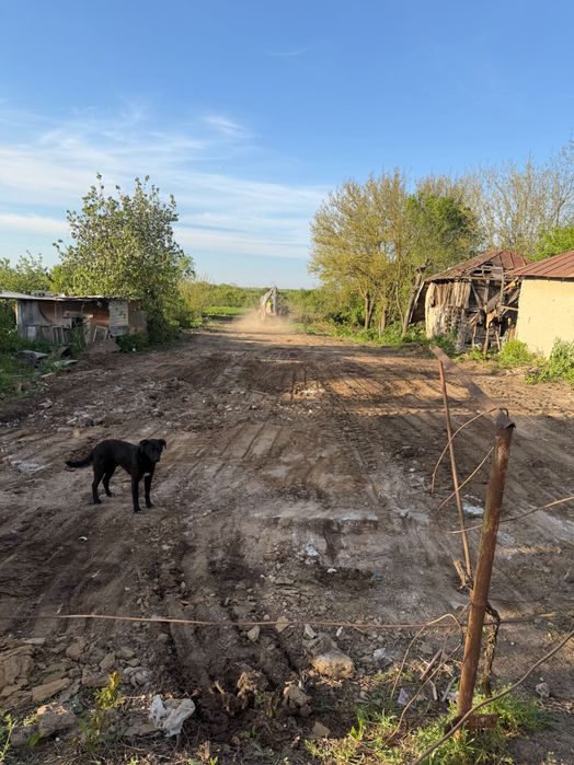 Vând teren 2.000 mp (800 mp intravilan + 1.200 mp extravilan) | Deschidere 13 m | Iepurești, Giurgiu