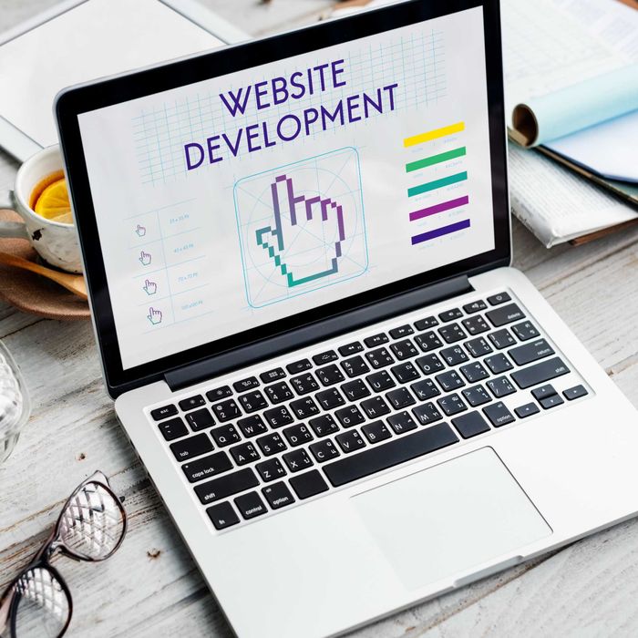 «Fullstack developer | Reactjs Vuejs Nodejs | website»