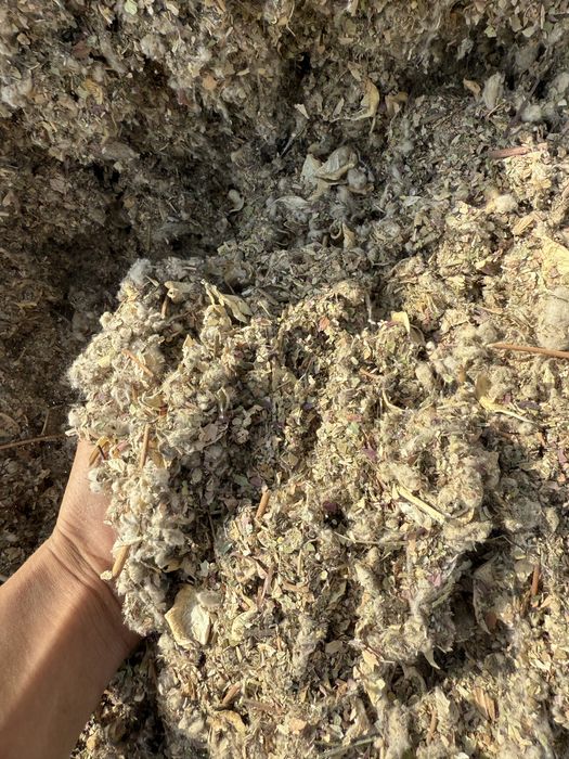 Мақта қауашағы сатылады