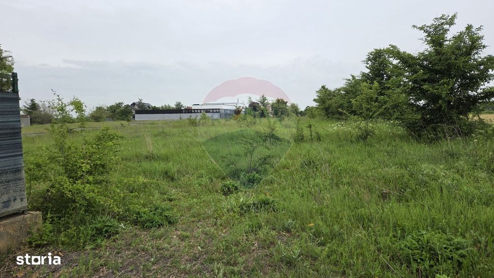 Teren intravilan, langa padure, 752 mp, Bolintin-Deal