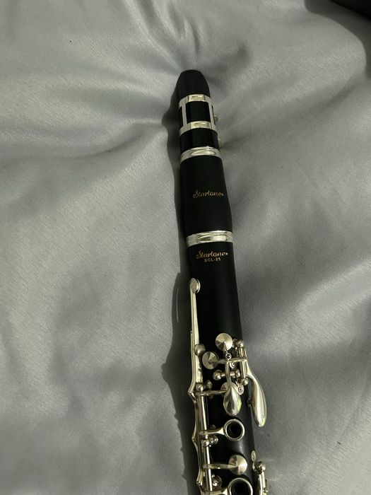 sax julius keilwerth+Clarinet startone