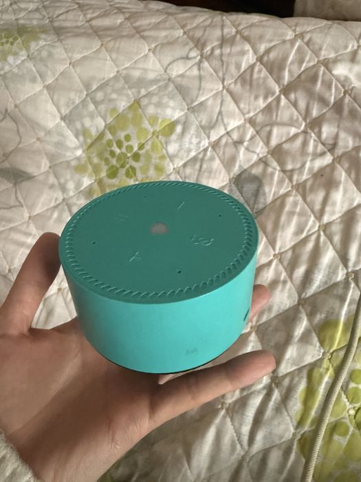 Калонка алиса срочно