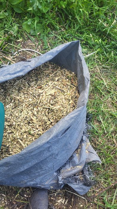 Дрова яблоневые и грушевые для шашлыков