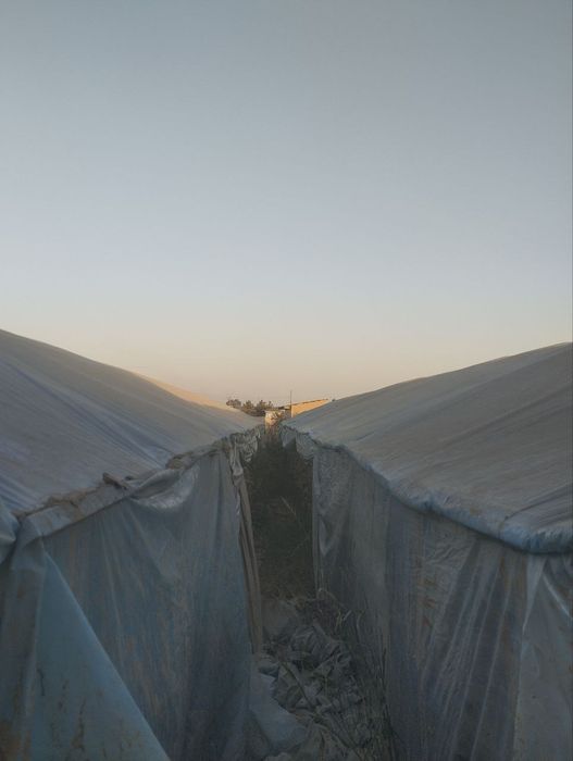 Уй сотилади теплицаси билан