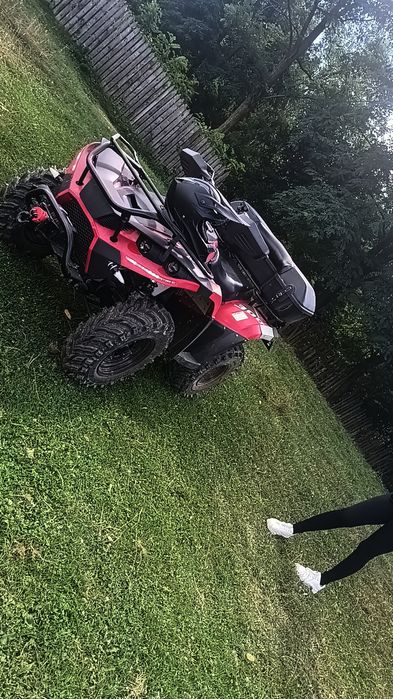 Linhai dragonfly 300