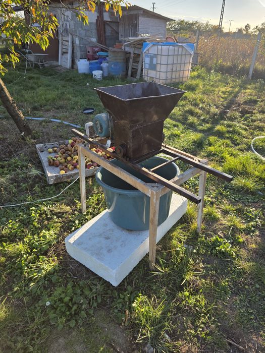 Tocator electric fructe