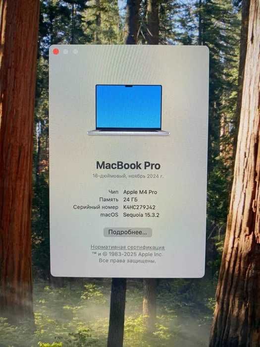 Apple MacBook M4 Pro 16 24 Гб SSD 512 Гб 100%