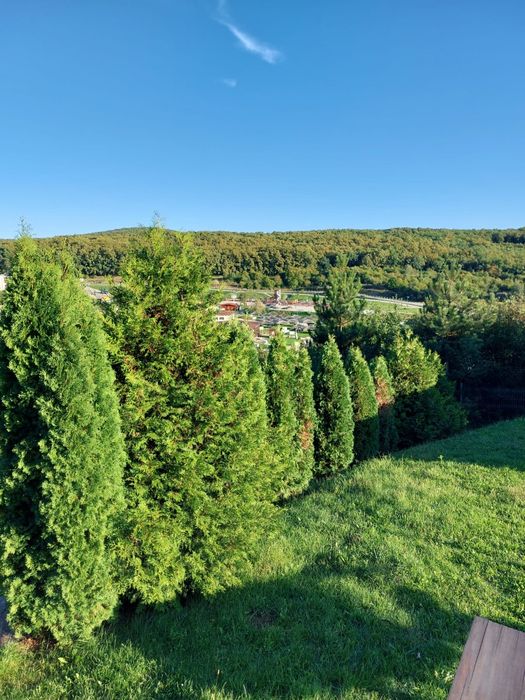 Doua cabane de vanzare