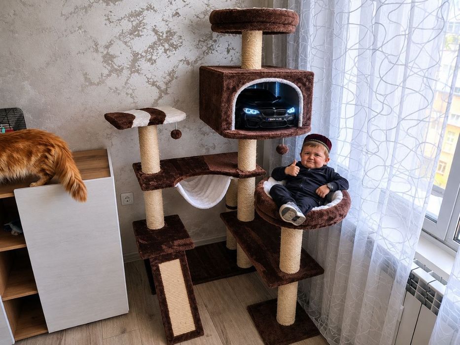Продава се къща за котка