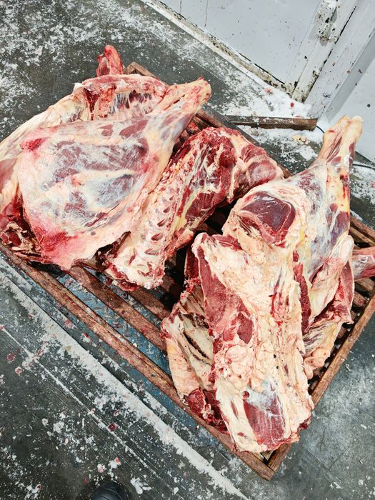 Мясо говядины тушами