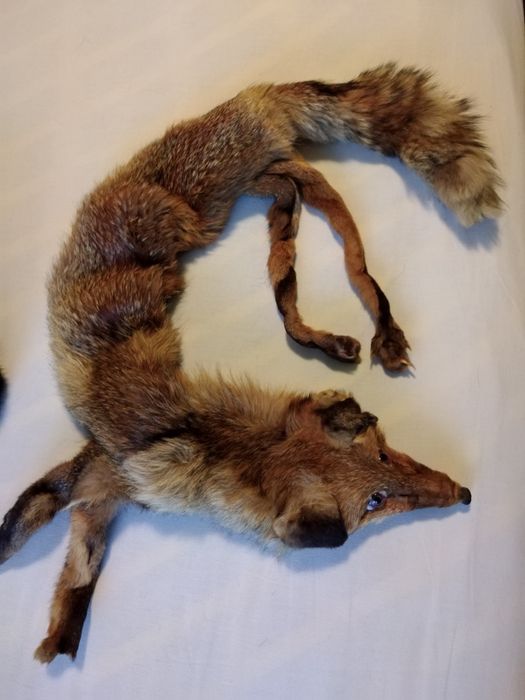 Яка лисича с шапка лисича