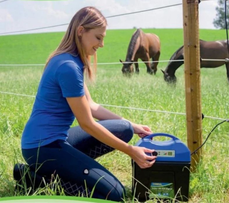 Электрический забор для животных электропастух срок службы  20 лет