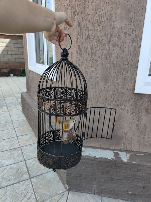 Продам клетку с птицей