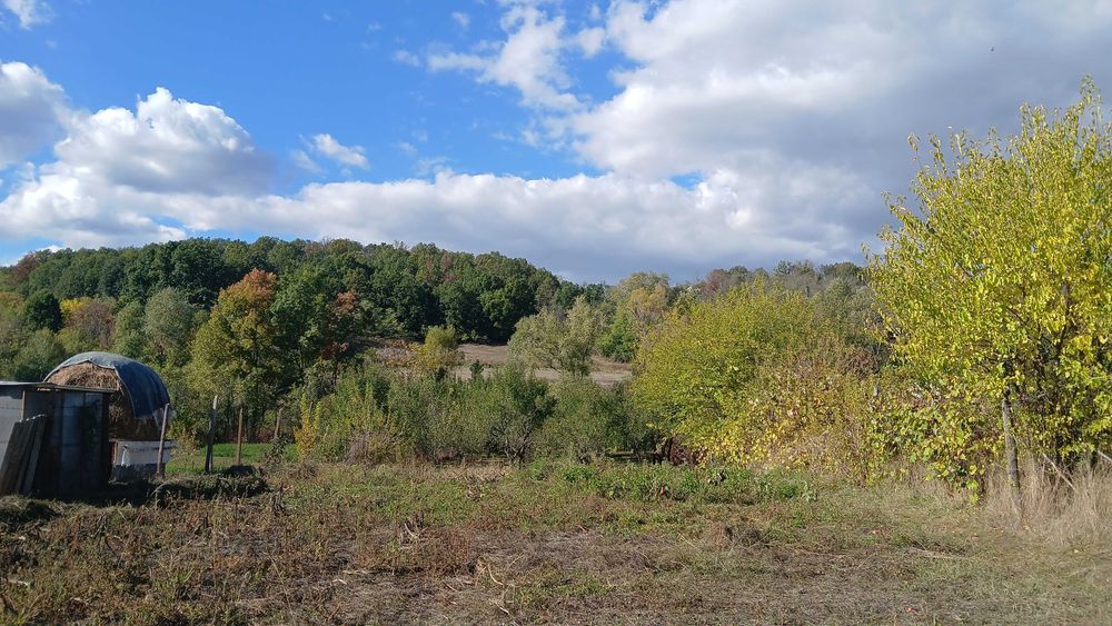 Teren Intravilan, apa, electricitate, canalizare