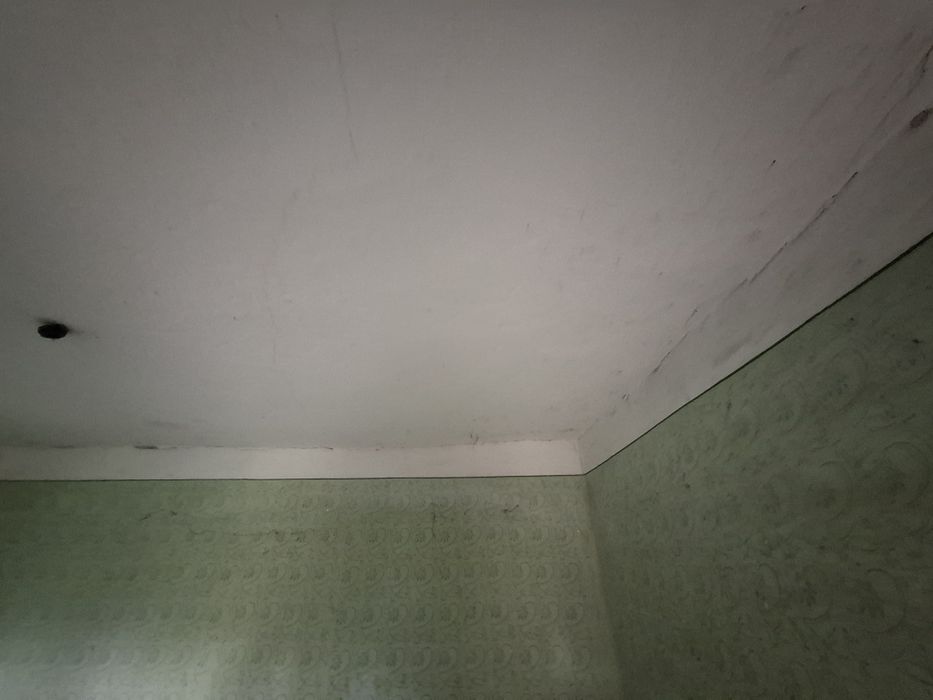 Продава се Къща в с. Гълъбинци, Област Ямбол - 100 кв.м за 41 €/кв.м - Снимка #12