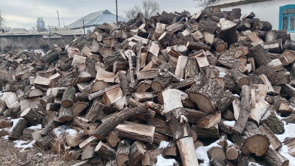 Дрова продам Карагач