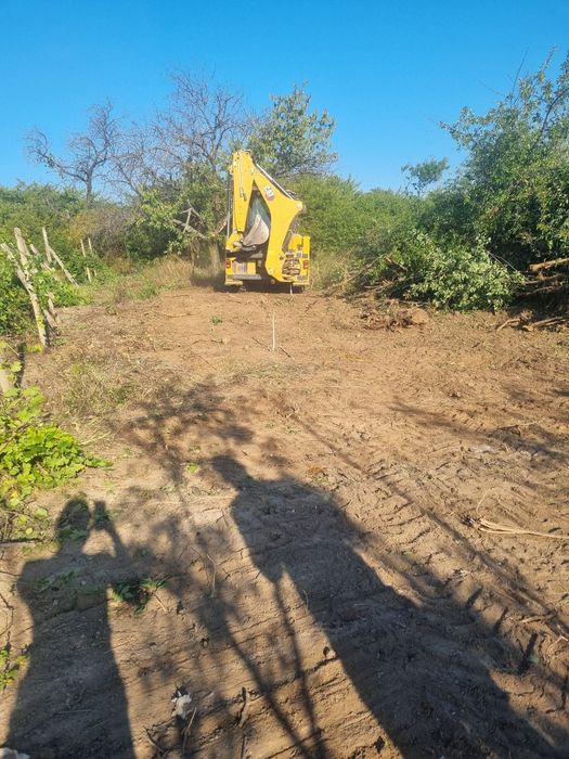 Defrișări/curățare terenuri