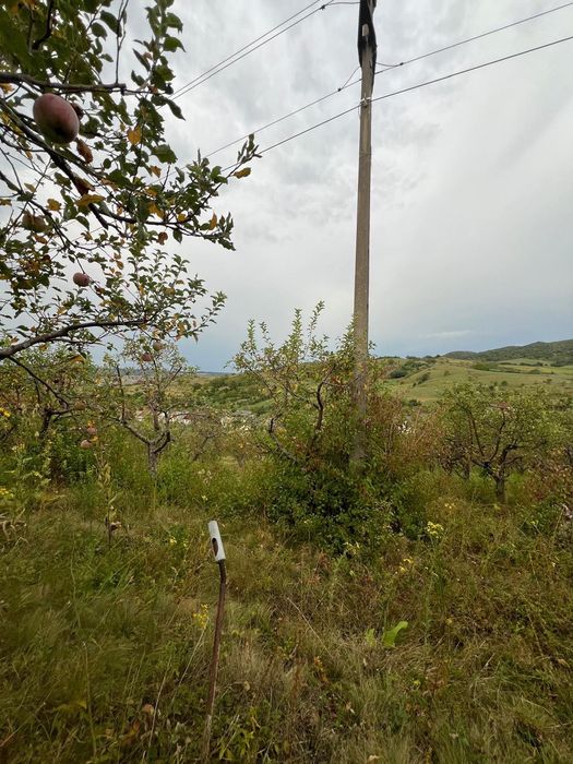 Teren de vânzare – 10 ari în Dumitra, poziție deosebită