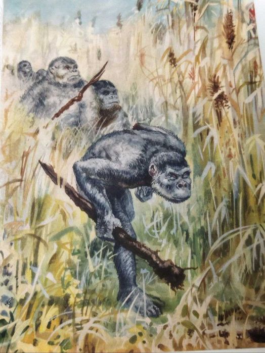 Детская энциклопедия.