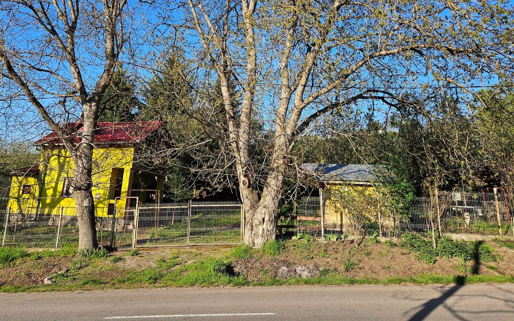 Proprietate 4200 mp Căndărăi cu cabană, livadă și anexe – potențial mare, utilități, zonă liniștită