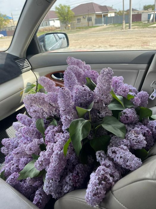 Букет сирена