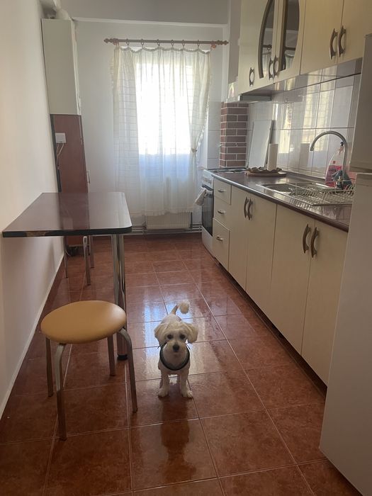 Inchiriez apartament in zona Racadau