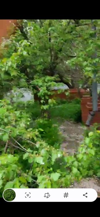 Сдаётся огород БЕСПЛАТНО