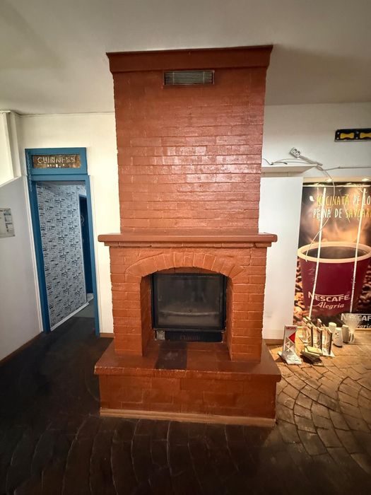 Termo-semineu pe lemn