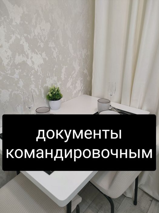 Документы. Квартира посуточн в центре города на набережной Протозанова