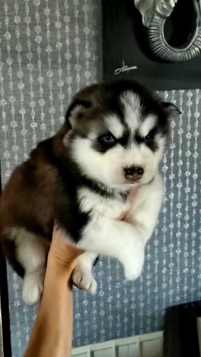 Мальчик с ярко голубыми глазками