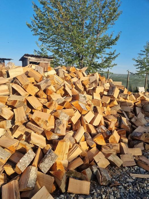 Lemne de foc fag capete uscate sau verzi 600.lei tona