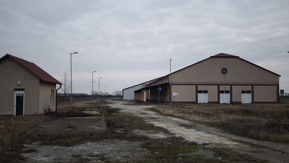 Hala industriala 3000m la 1km de Vama Petea DN49