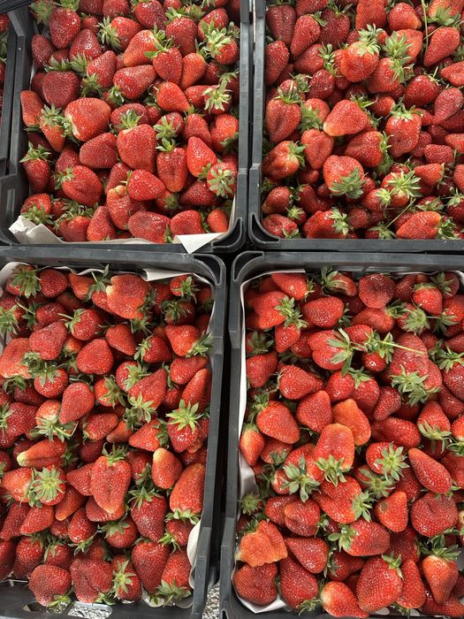 Клубника с доставкой по городу