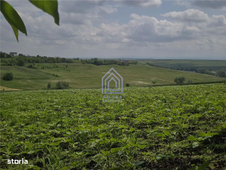 Teren intravilan Moara Nica - zona Scolii