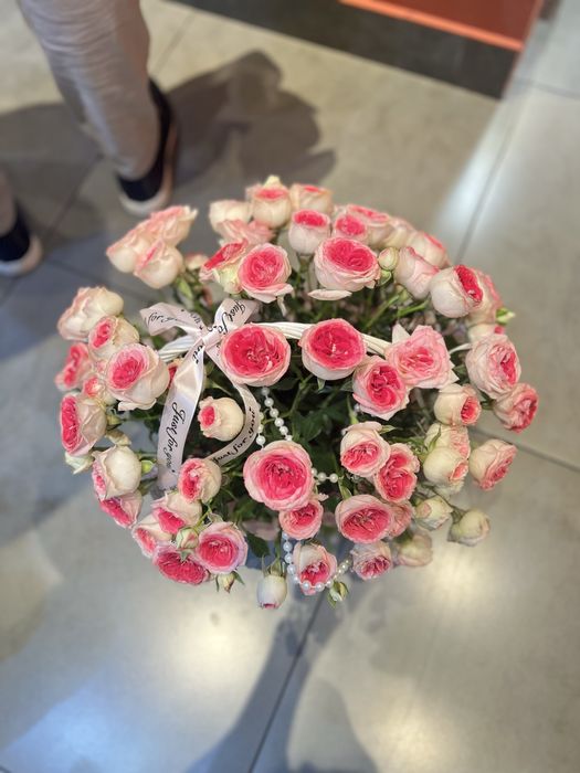 Срочно продам цветы