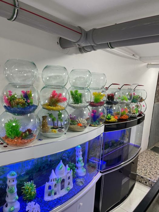 Аквариум Магазин