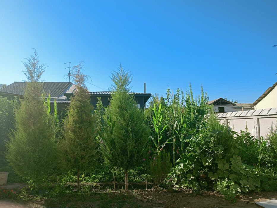 Uchastka 6,5 sotoxli