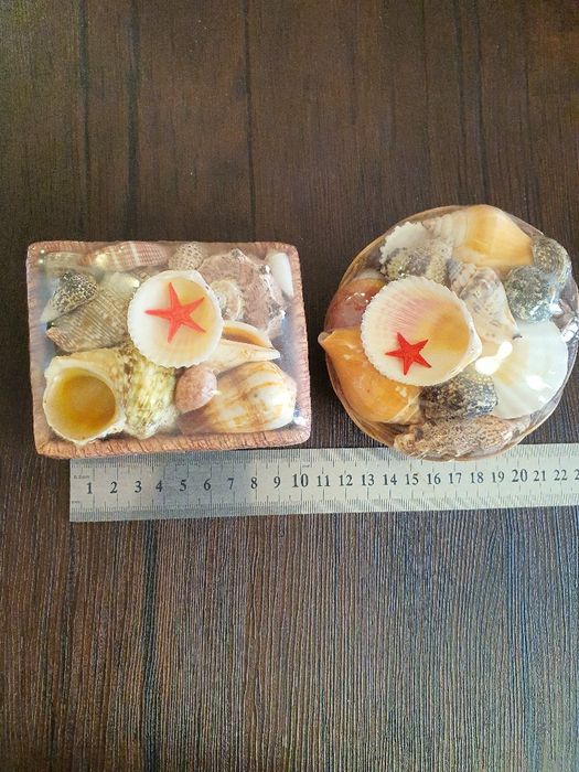 Ракушки для аквариума