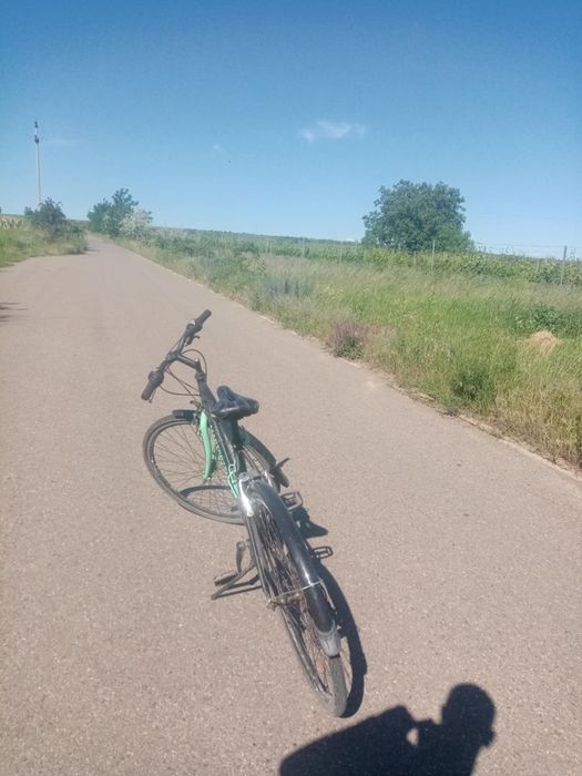 Vând bicicleta masterteh